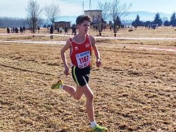 2024 CROSS DELLA VOLPE